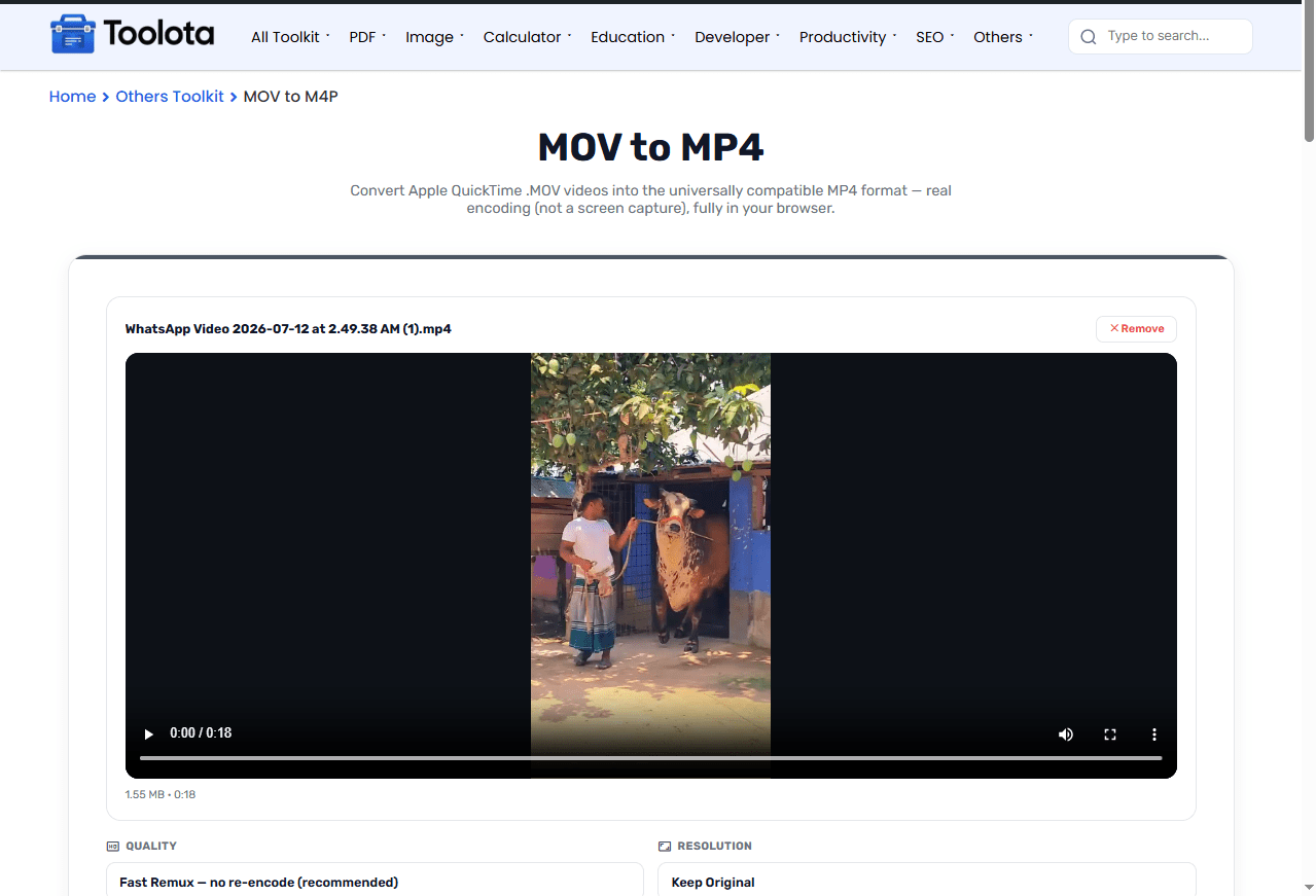 Mov To Mp4 MOV to MP4 Toolota