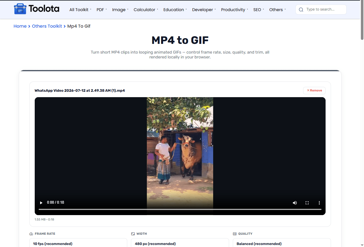 Mp4 To Gif Mp4 To Gif Toolota